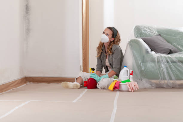 Reliable Mold Remediation contractor in Leesburg, FL by WQB Mold Removal